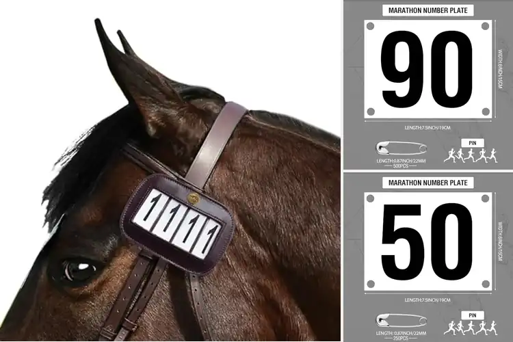 Detailed view of Best Competition Compliant Numbers