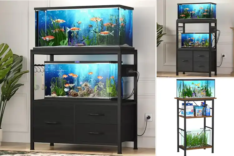 Detailed view of Best Double Tank Stands For Space Saving