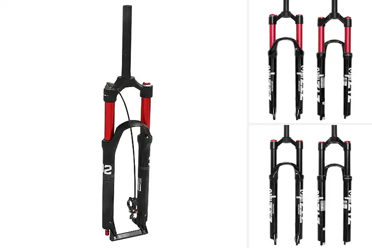 Detailed view of Best Dual Air Chamber Forks