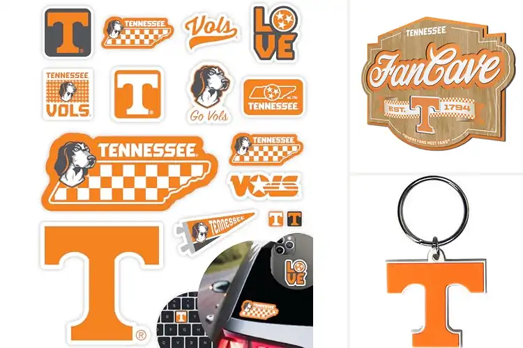 Detailed view of Best Fan Gift For Volunteers: 10 Must-Have Team Picks