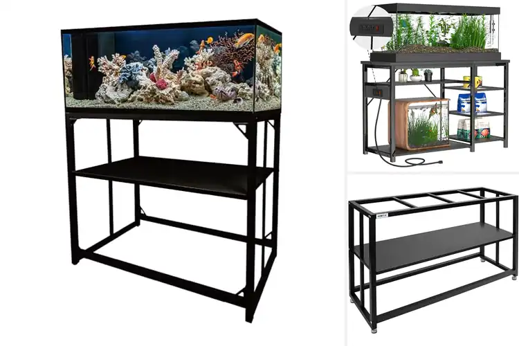 Detailed view of Best Heavy Duty Metal Aquarium Stands