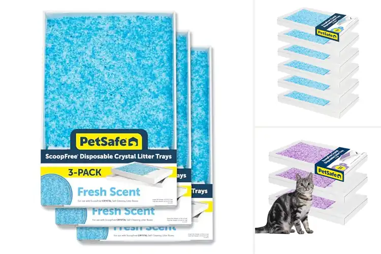 Detailed view of Best Litter Box Refills: Freshness Guaranteed