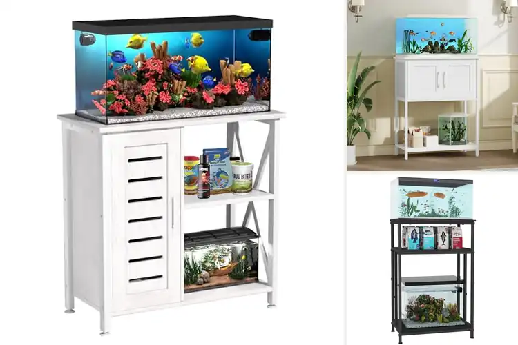 Detailed view of Best Modern Aquarium Stands For Home Decor