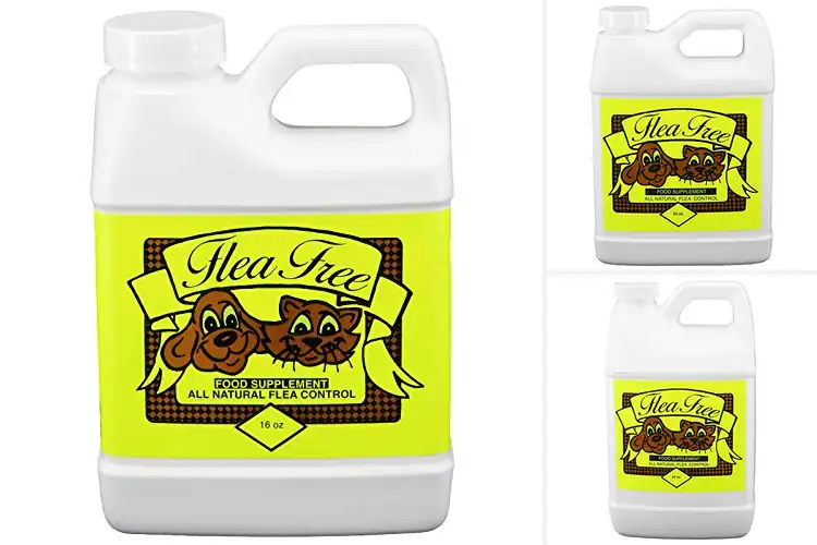 Detailed view of Best Natural Pet Products: Healthy, Happy Pets Guaranteed
