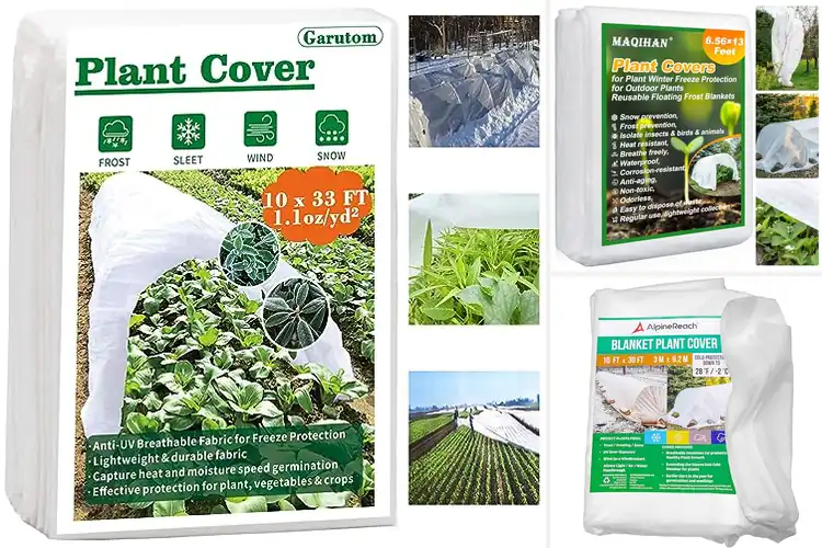 Detailed view of Best Plant Frost Protections