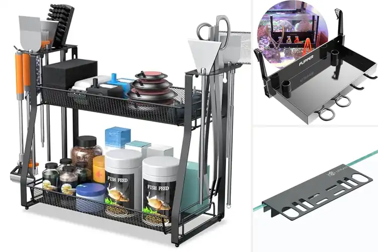 Detailed view of Best Storage For Aquarium Accessories
