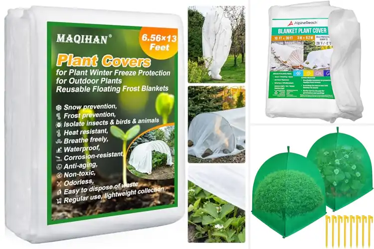 Detailed view of Best Winter Plant Covers